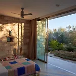 Elegant Modern In Olive Grove
