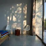 Elegant Modern In Olive Grove