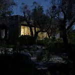 Elegant Modern In Olive Grove *