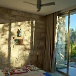 Elegant Modern In Olive Grove Surano