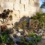 Elegant Modern In Olive Grove