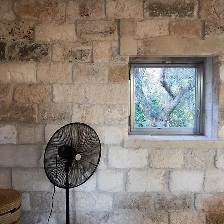 Elegant Modern In Olive Grove Вилла Surano