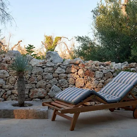 Elegant Modern In Olive Grove