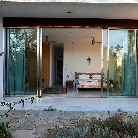 Elegant Modern In Olive Grove ヴィラ