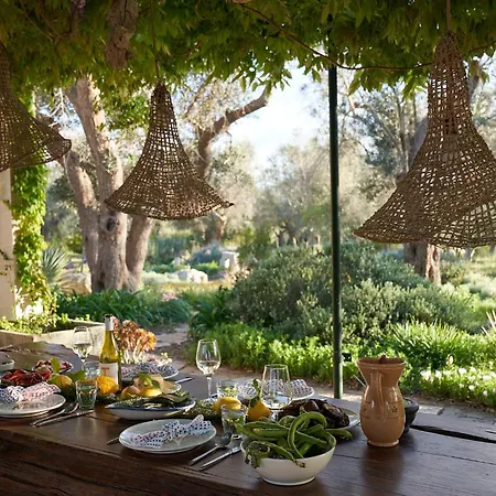 Elegant Modern In Olive Grove *