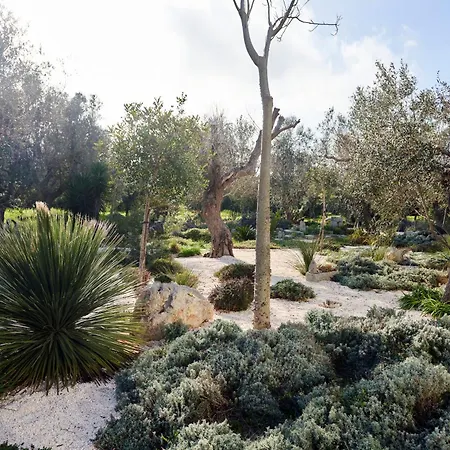 Вилла Elegant Modern In Olive Grove Surano