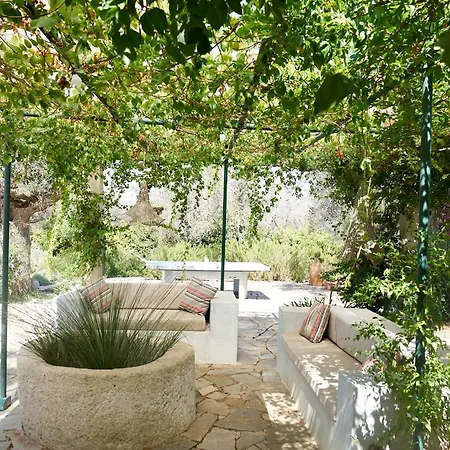 Elegant Modern In Olive Grove * Surano