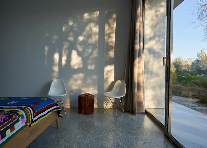 Elegant Modern In Olive Grove