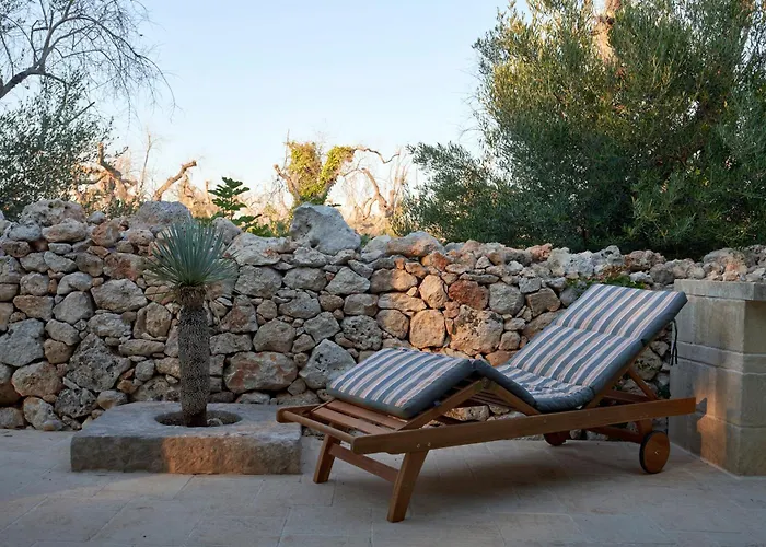 Elegant Modern In Olive Grove