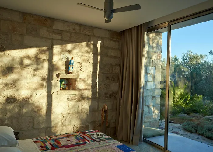 Elegant Modern In Olive Grove Surano