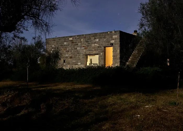 Elegant Modern In Olive Grove * Surano