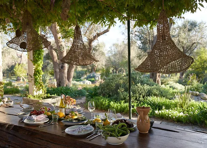 Elegant Modern In Olive Grove *