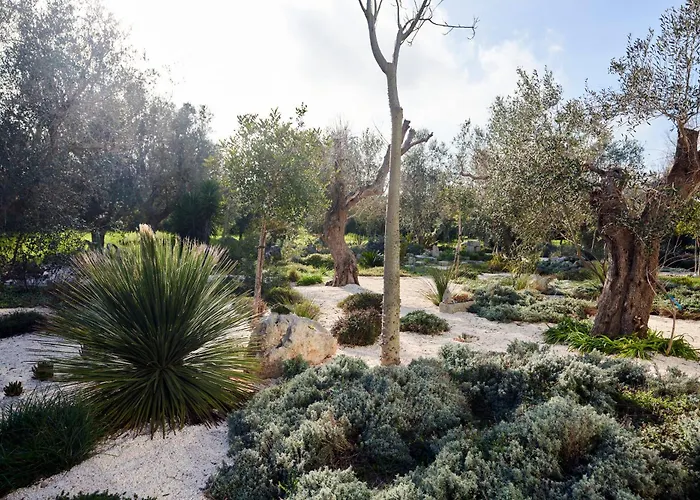 ヴィラ Elegant Modern In Olive Grove Surano