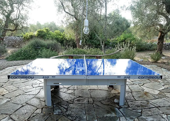 Elegant Modern In Olive Grove Surano