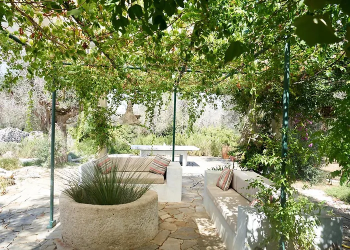 Elegant Modern In Olive Grove * Surano