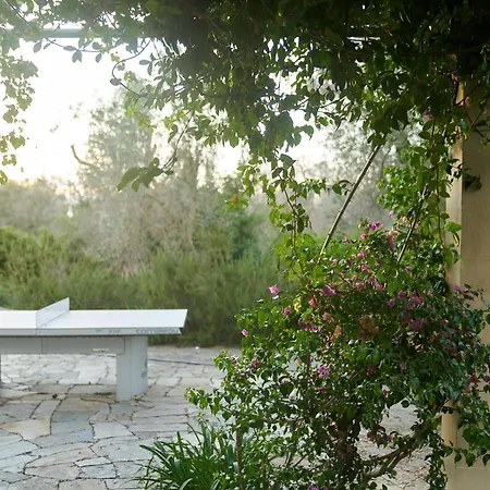 Vila Elegant Modern In Olive Grove