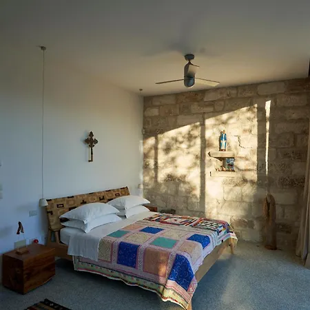 Elegant Modern In Olive Grove Vila