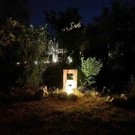 Vila Elegant Modern In Olive Grove *