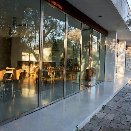 Elegant Modern In Olive Grove *