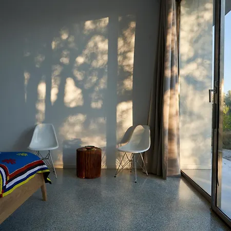 Elegant Modern In Olive Grove