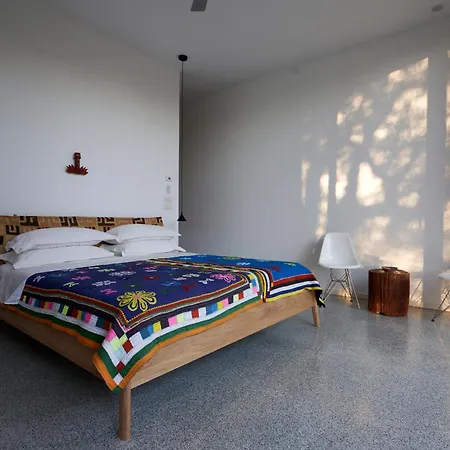 Elegant Modern In Olive Grove Surano