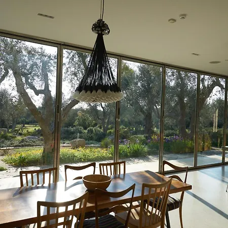 Elegant Modern In Olive Grove Vila *