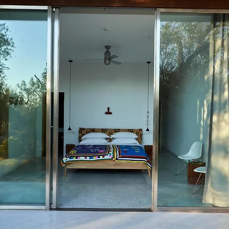 Vila Elegant Modern In Olive Grove