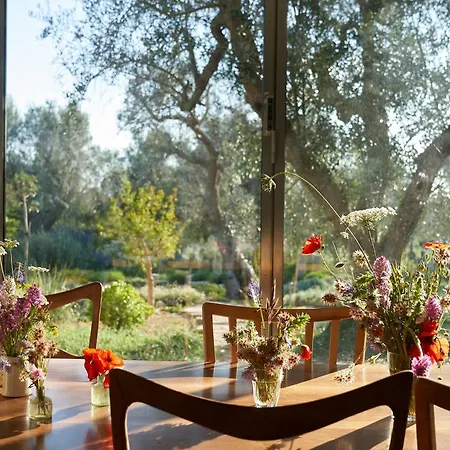 Vila Elegant Modern In Olive Grove Surano