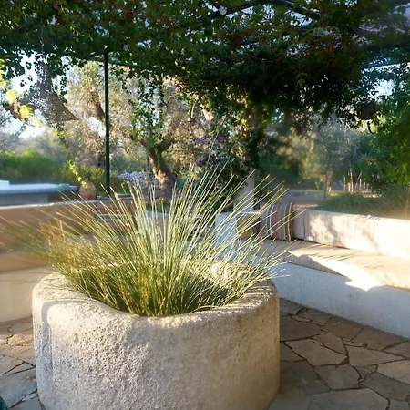 Vila Elegant Modern In Olive Grove Surano