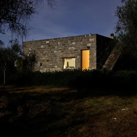 Elegant Modern In Olive Grove * Surano