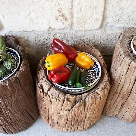 Elegant Modern In Olive Grove *