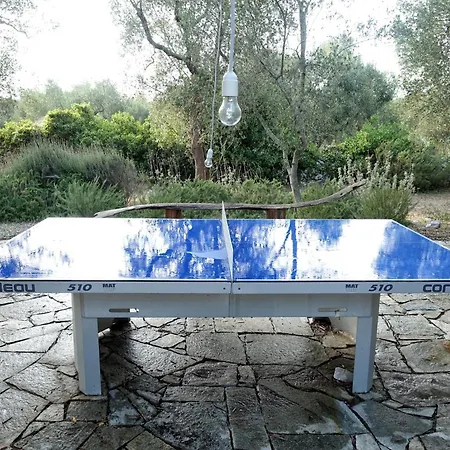 Elegant Modern In Olive Grove Surano