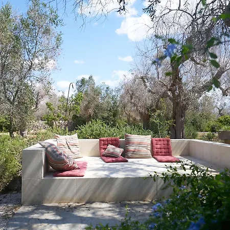 Vila Elegant Modern In Olive Grove