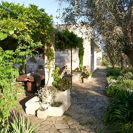 Vila Elegant Modern In Olive Grove