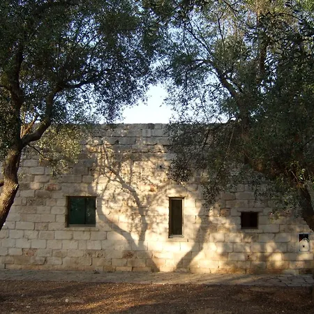 Villa Elegant Modern In Olive Grove *