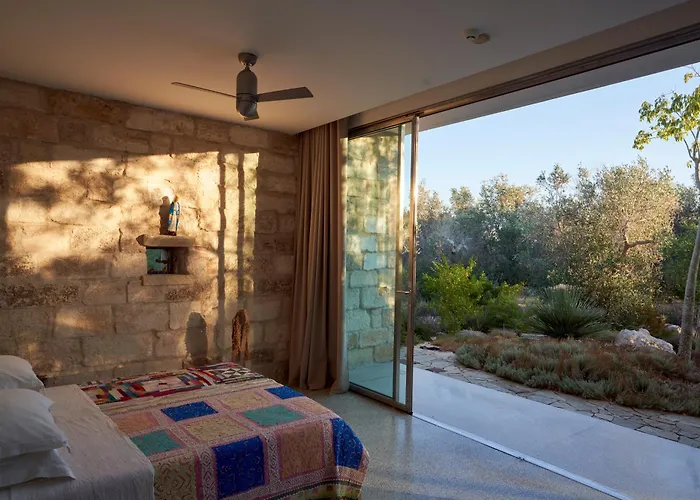 Elegant Modern In Olive Grove