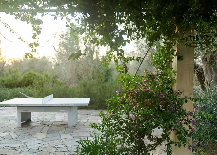 Villa Elegant Modern In Olive Grove