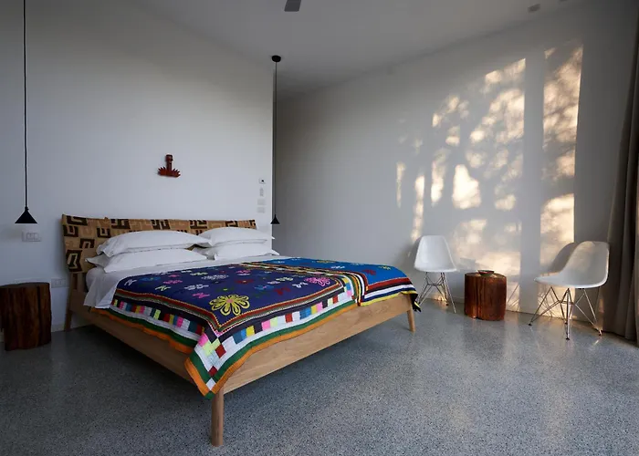 Elegant Modern In Olive Grove Surano