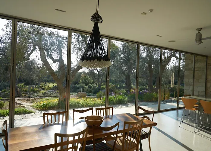 Elegant Modern In Olive Grove Villa *