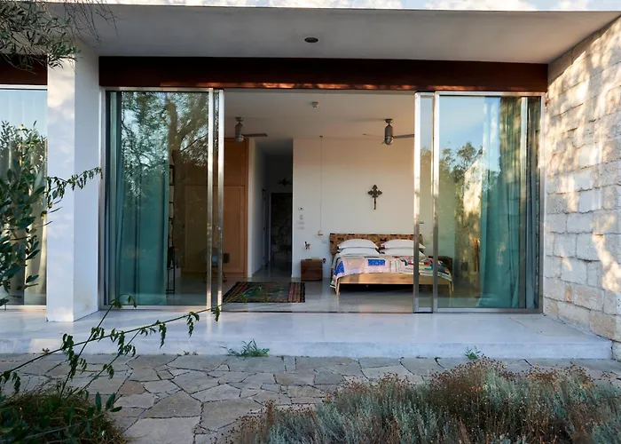 Elegant Modern In Olive Grove Villa
