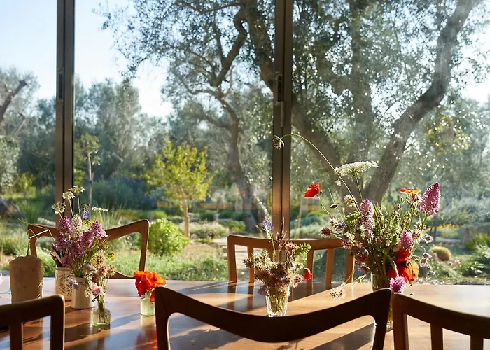 Villa Elegant Modern In Olive Grove Surano