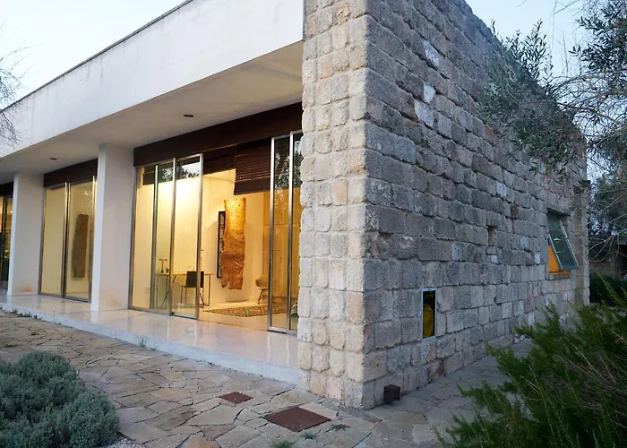 Elegant Modern In Olive Grove Villa