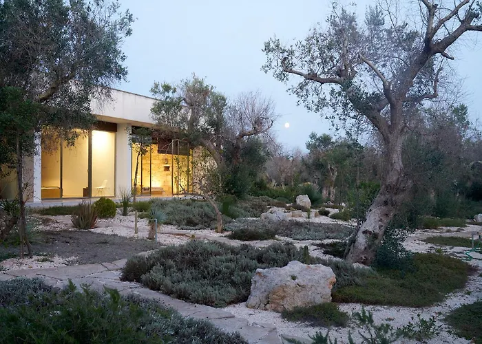 Elegant Modern In Olive Grove Villa *