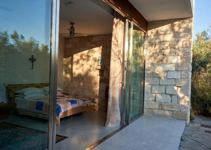 Villa Elegant Modern In Olive Grove
