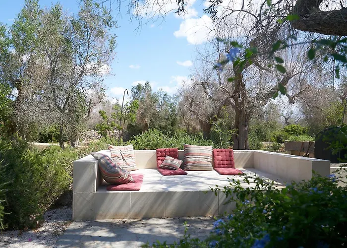 Villa Elegant Modern In Olive Grove