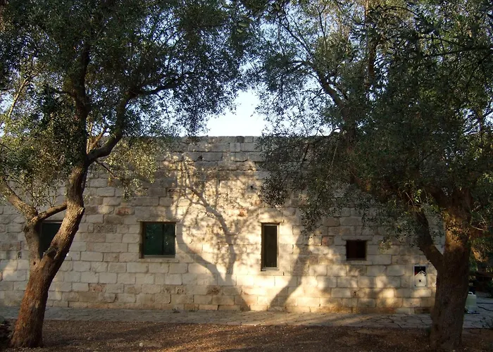 Villa Elegant Modern In Olive Grove *